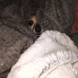 A lesson from Libby...